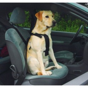 Beeztees cintura di sicurezza automobile per cane Taglia M