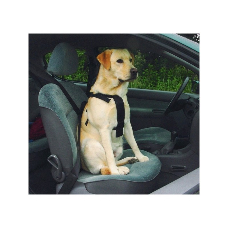 Beeztees cintura di sicurezza automobile per cane Taglia XL